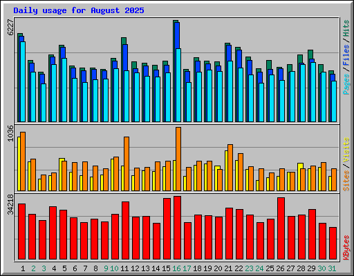 Daily usage for August 2025