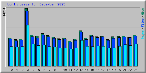 Hourly usage for December 2025