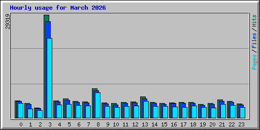 Hourly usage for March 2026