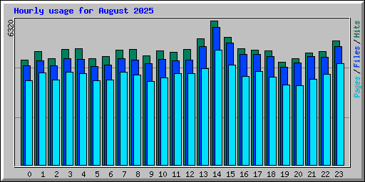 Hourly usage for August 2025