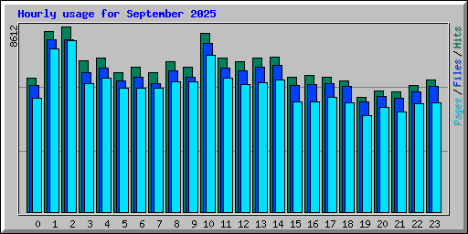Hourly usage for September 2025