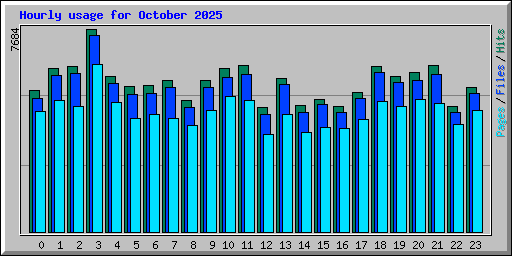 Hourly usage for October 2025