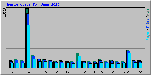 Hourly usage for June 2026