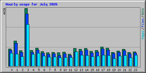 Hourly usage for July 2026